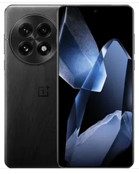 OnePlus 13