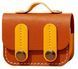 Шкіряний чохол-футляр з карабіном Briefcase для AirPods 4 / коричневий 201829 фото 1